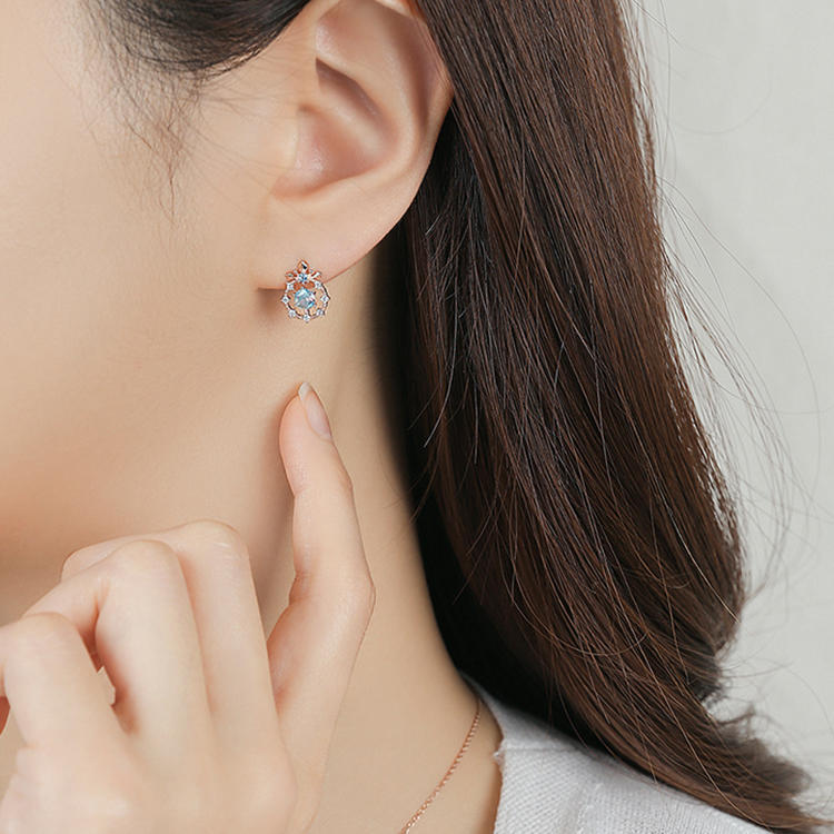 Frozen Snowflake Earrings